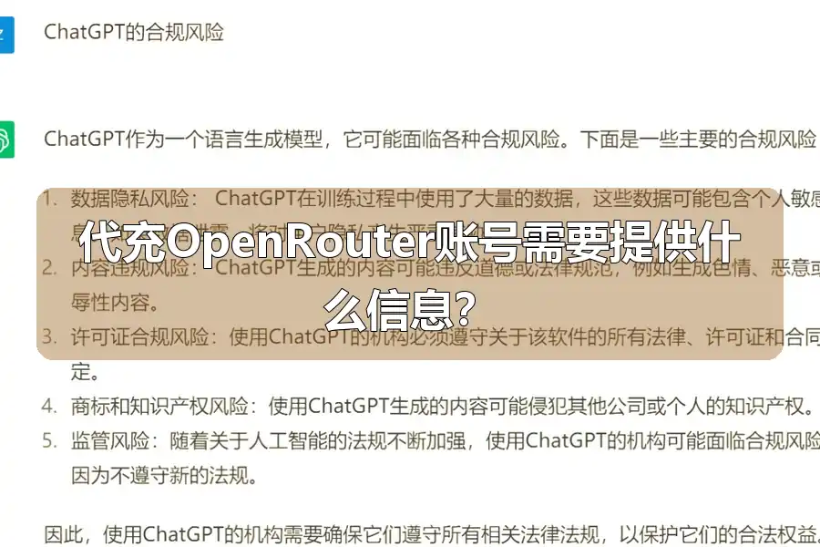 代充OpenRouter账号需要提供什么信息？